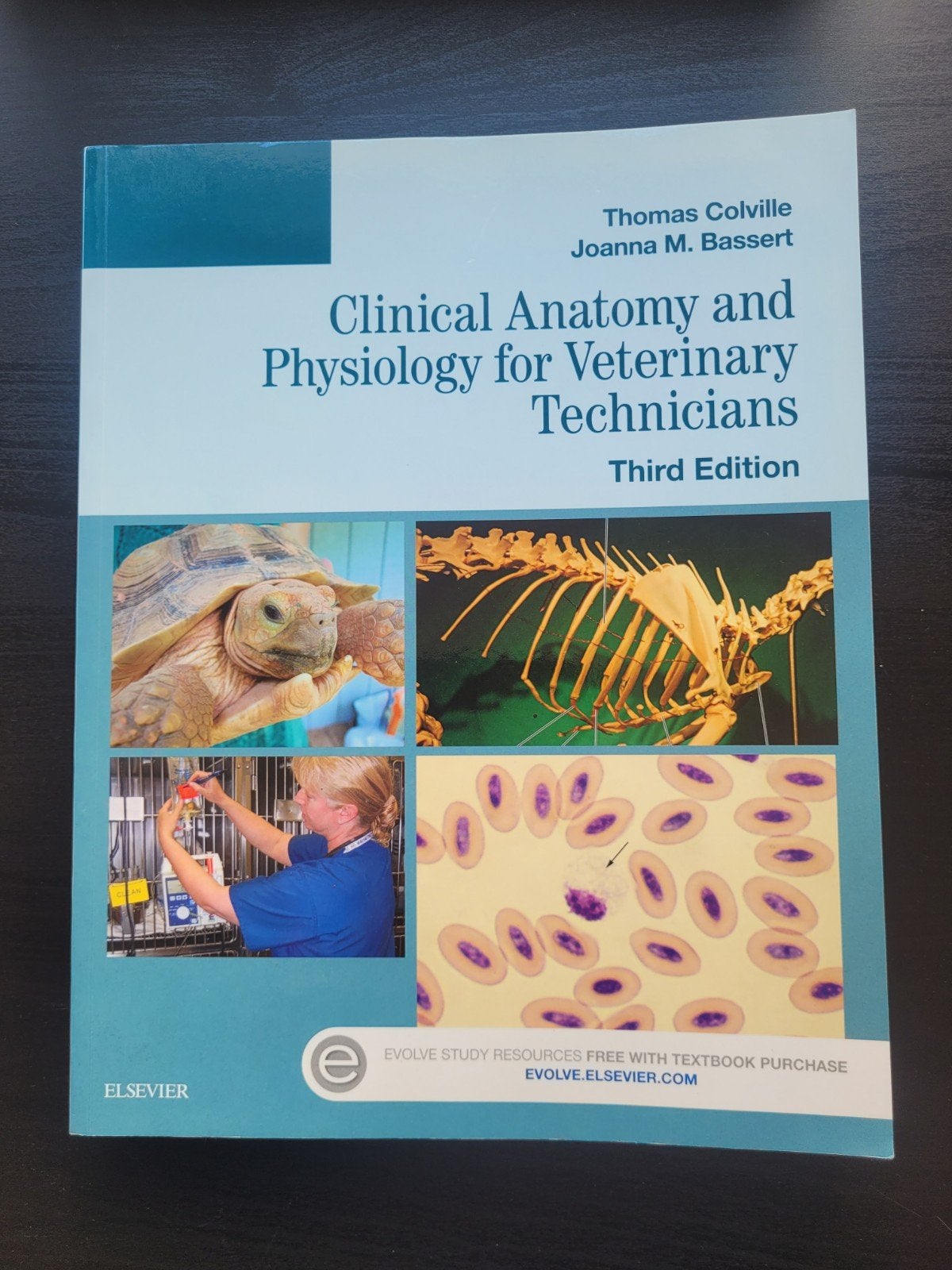 Clinical Anatomy and Physiology for Veterinary Technicians, Boeken, Ophalen of Verzenden