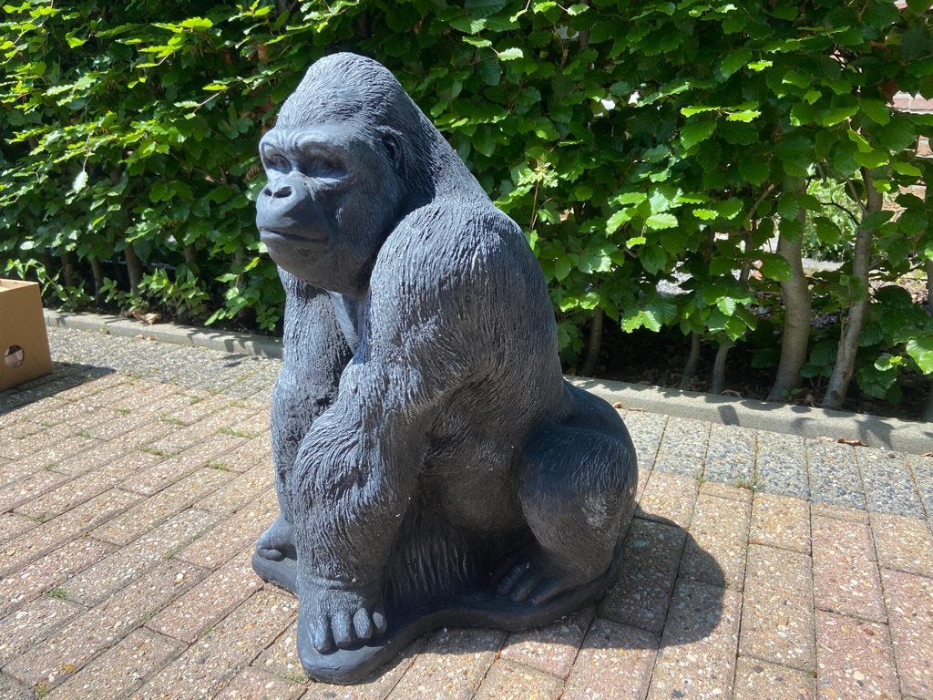 Gorilla , hoogte 65cm , 90kg, Ophalen, Nieuw, Beton, Dierenbeeld