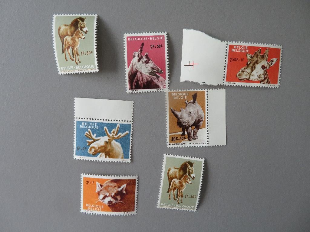 zoo van Antwerpen 1961 lotje 7 x postfris, Postzegels en Munten, Postzegels | Europa | België, Ophalen of Verzenden, Postfris