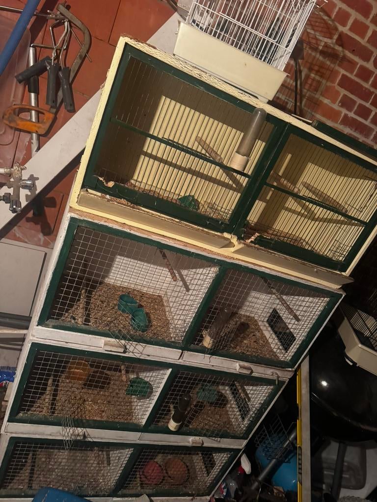 Kweekkooi vogelkooi, Ophalen, Gebruikt, Vogelkooi