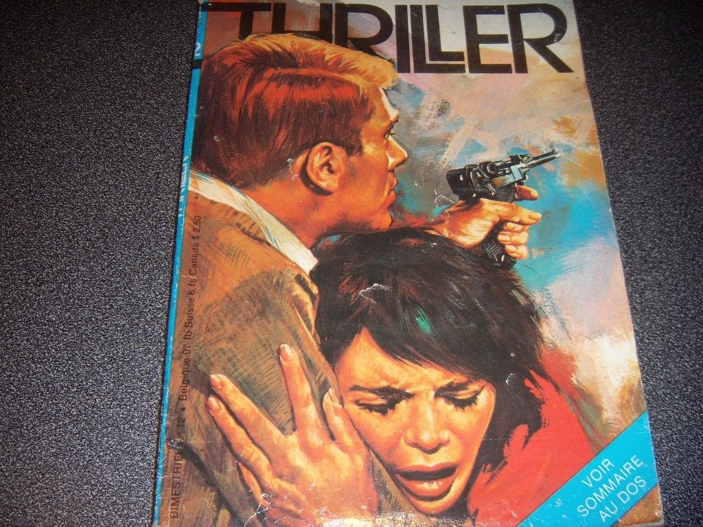 Thriller nr 12, Boeken, Taal | Frans, Ophalen of Verzenden, Gelezen