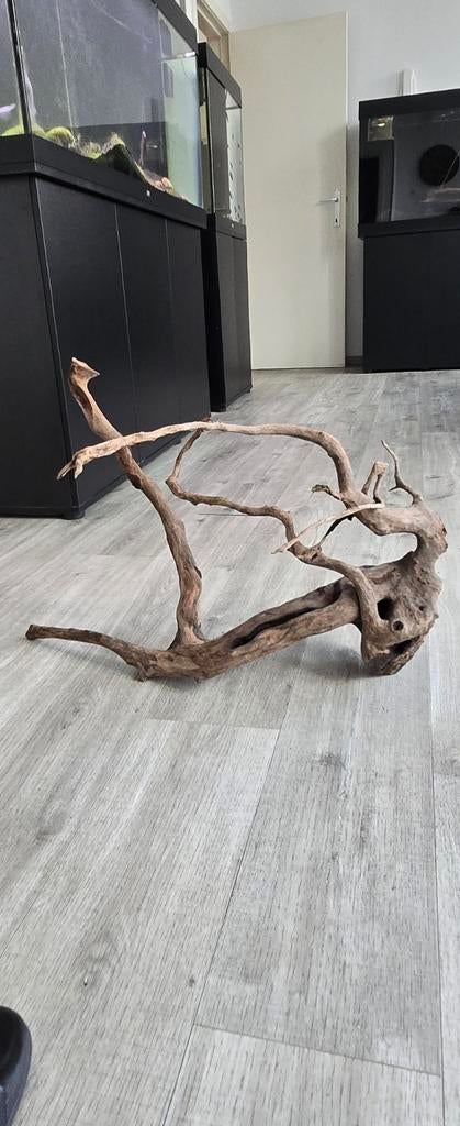 Heel mooi middelgroot stuk spider hout voor aquarium, Dieren en Toebehoren, Ophalen