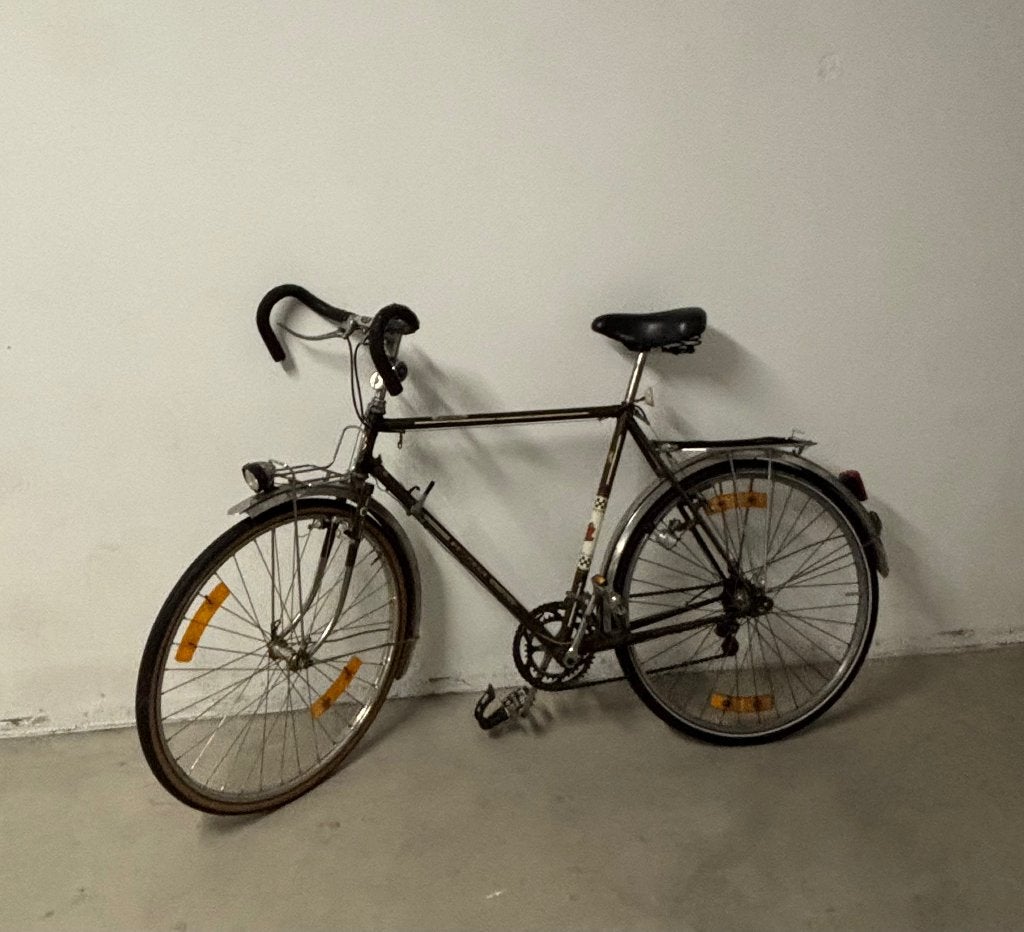 Velo homme, Autres marques, Vitesses, Frein sur jante, Enlèvement