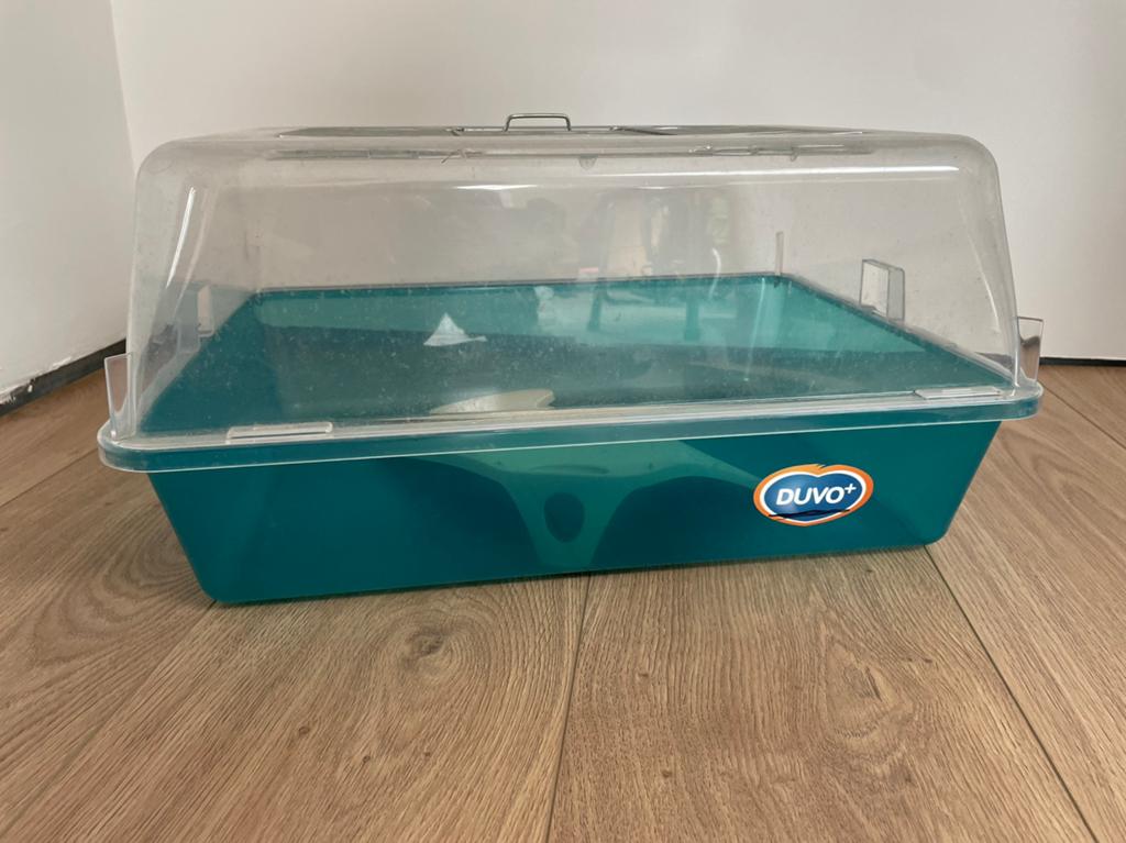 Vivarium tortue d’eau, Animaux & Accessoires, Enlèvement, Utilisé