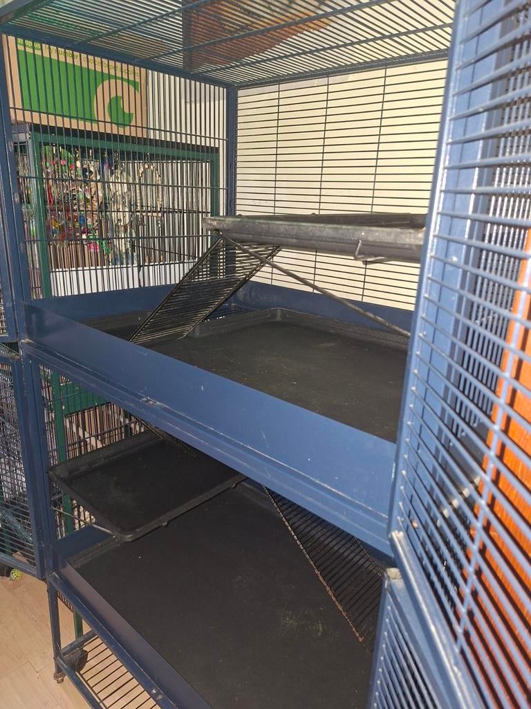 Royal suite kooi te koop, Dieren en Toebehoren, Ophalen, Kooi, Gebruikt, Eekhoorn