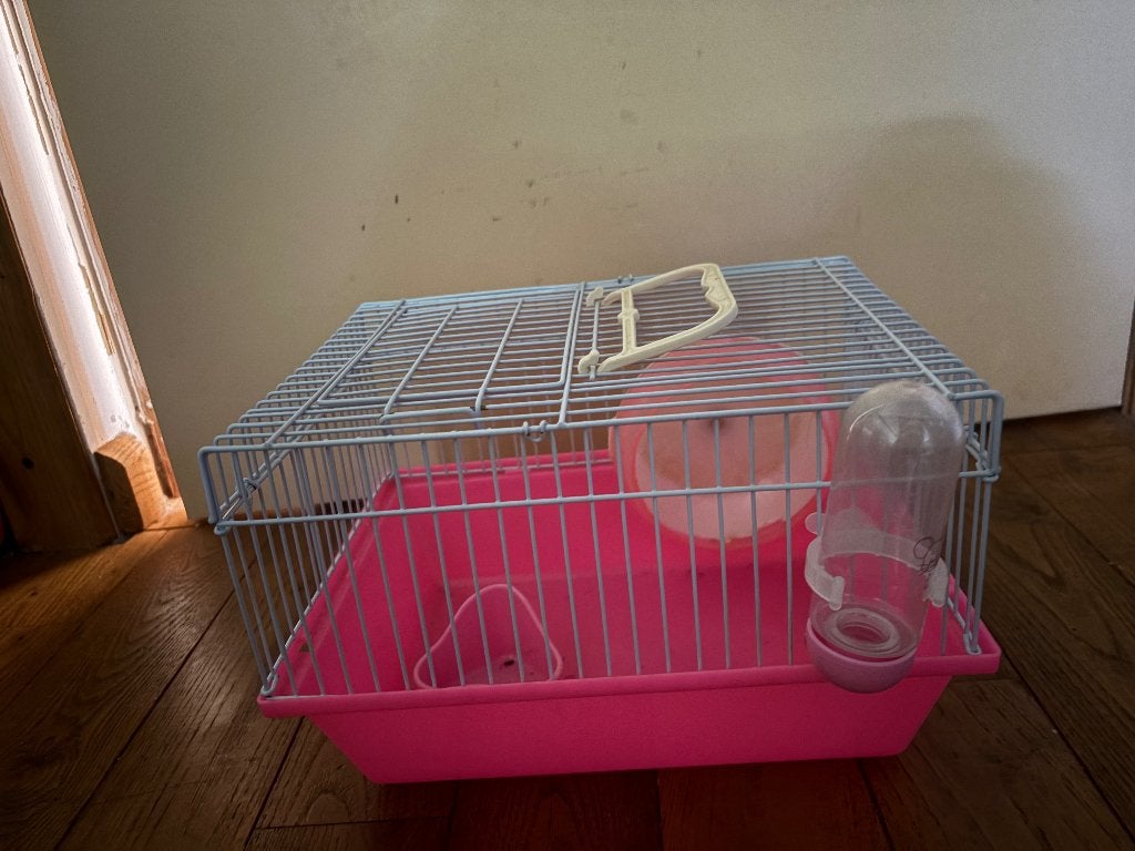 Cage à hamster, Animaux & Accessoires, Moins de 60 cm, Cage, Utilisé, Hamster