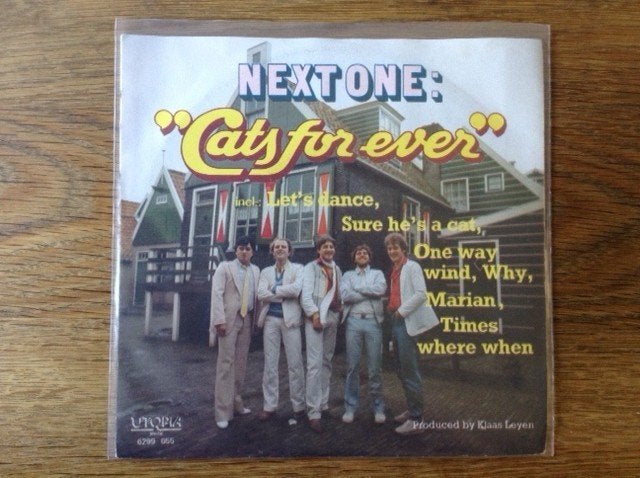 single next one, Cd's en Dvd's, Vinyl Singles, 7 inch, Ophalen of Verzenden, Fotohoes, Pop