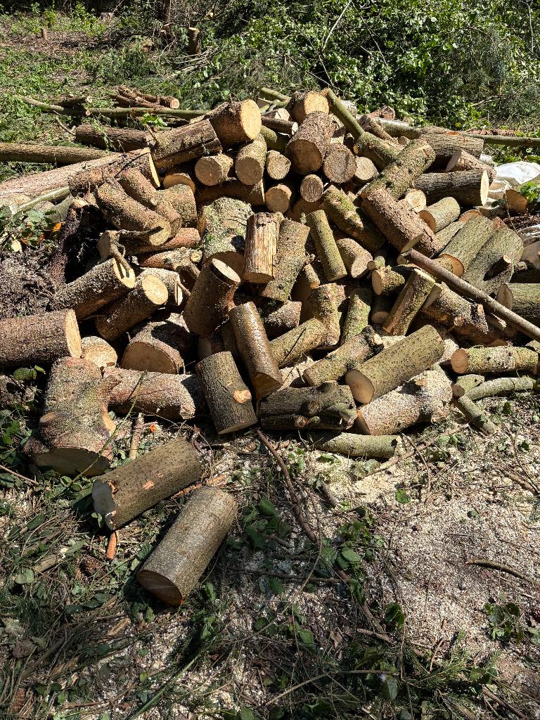 Brandhout te koop, Tuin en Terras, Brandhout, Ophalen, Overige houtsoorten, Blokken