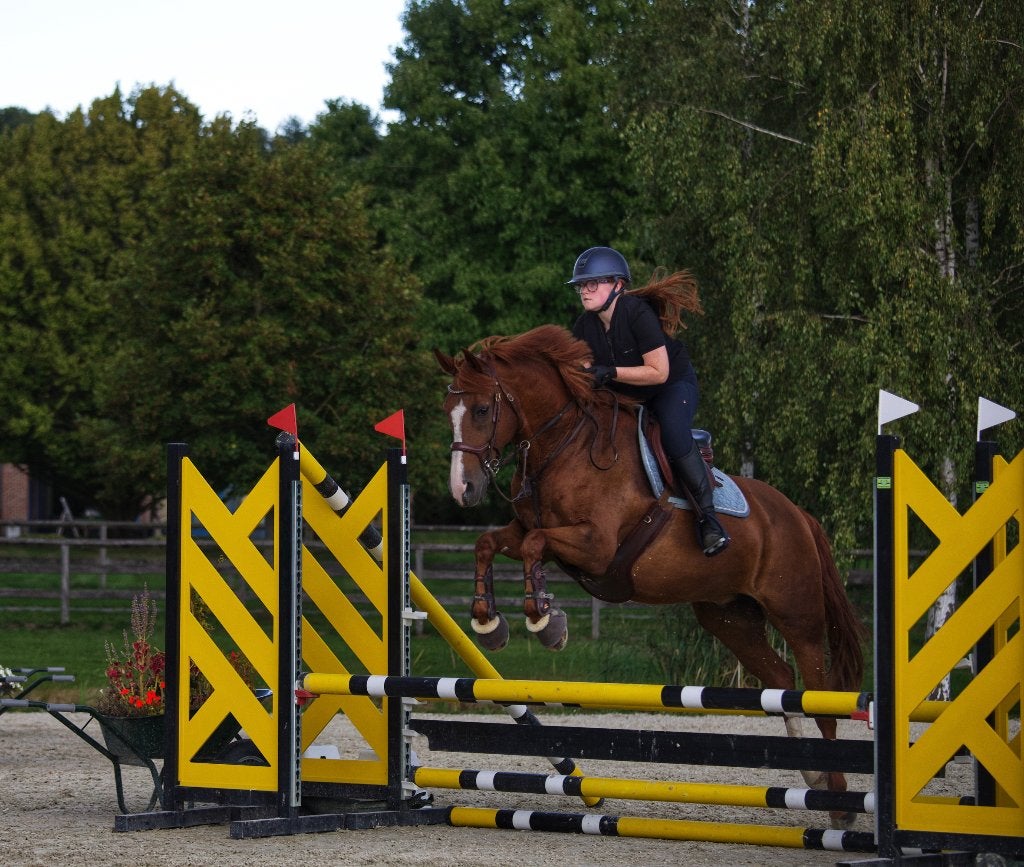 Ruiter aangeboden (springpaard/pony gezocht), Dieren en Toebehoren, Springpaard