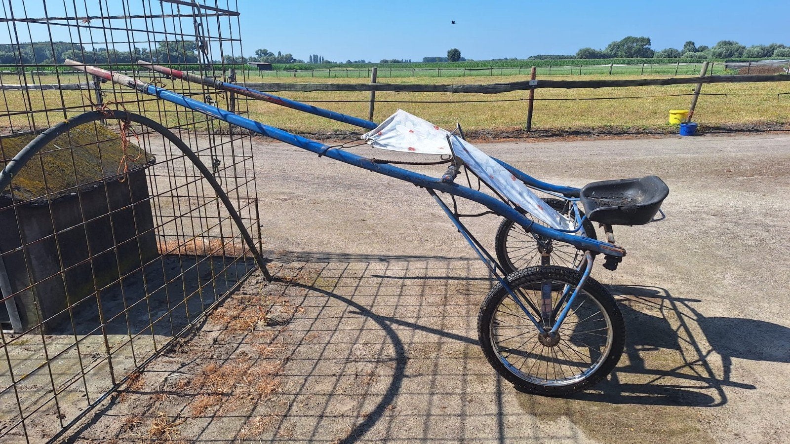 Trainings sulky kar, Dieren en Toebehoren, Rijtuigen en Koetsen, Gebruikt, Sulky, Paard