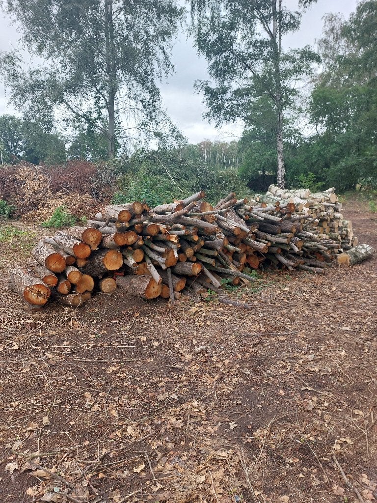 Partij brandhout te koop, 6 m³ of meer, Ophalen, Overige houtsoorten, Stammen