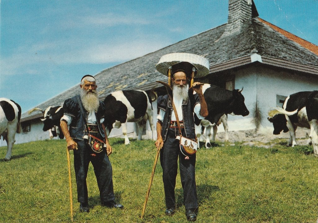KOEIEN  MET  GRUYERE  ALPENBOEREN  in Klederdracht, Verzamelen, Postkaarten | Dieren, Verzenden, 1980 tot heden, Gelopen, Overige soorten