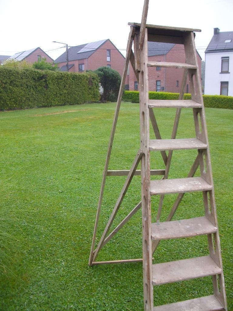 Grande Escabelle en bois, Enlèvement