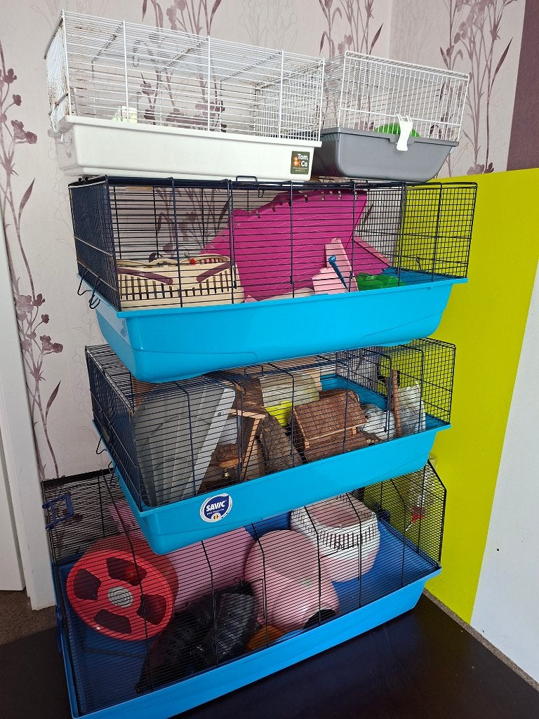 Kooi - kooien voor hamsters of ratjes, Ophalen, Gebruikt, Kooi, Hamster