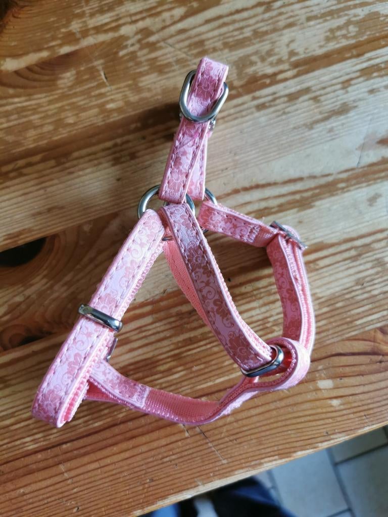 Tuigje voor kleine hondjes, Ophalen