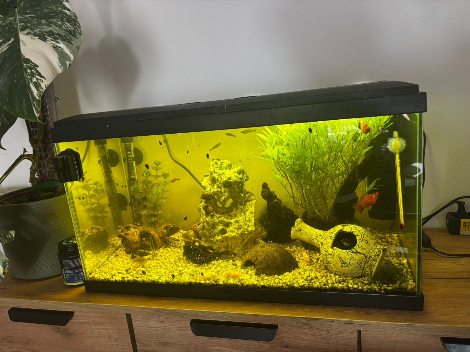 Aquarium, Dieren en Toebehoren, Ophalen, Zo goed als nieuw