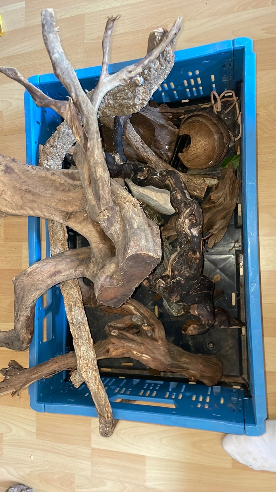 inricht materiaal terrarium, Dieren en Toebehoren, Ophalen, Zo goed als nieuw