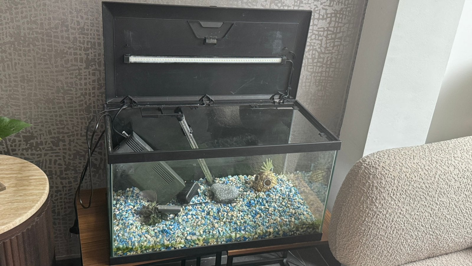 Aquarium met toebehoren te koop, Ophalen, Zo goed als nieuw