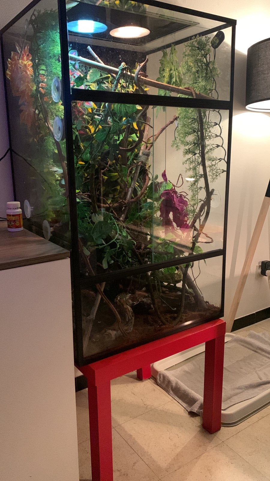 Terarium, Ophalen of Verzenden, Zo goed als nieuw