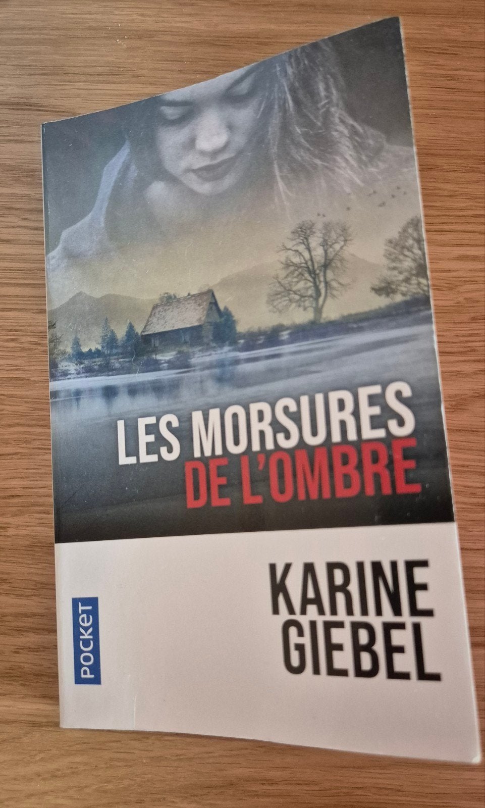 Les morsures de l'ombre, Enlèvement ou Envoi, Comme neuf, Karine Giebel