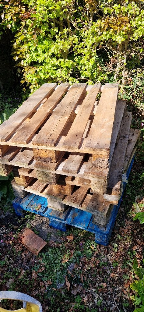 Europalletten 5 stuks, Enlèvement, Comme neuf, Autres essences de bois, Palette