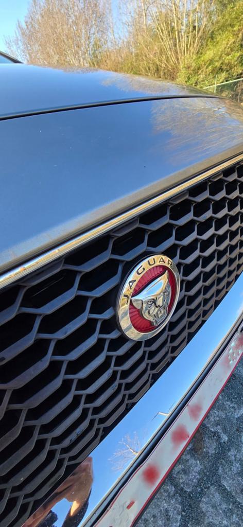 2019 Jaguar E-PACE D150 R-Dynamic 2.0D AWD Automaat, Automaat, Overige kleuren, Leder, Overige kleuren