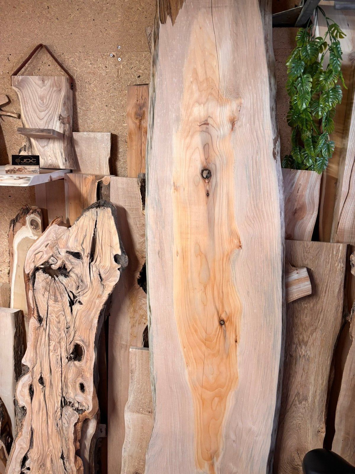 Boomstam Planken - wandplanken, Ophalen, Nieuw