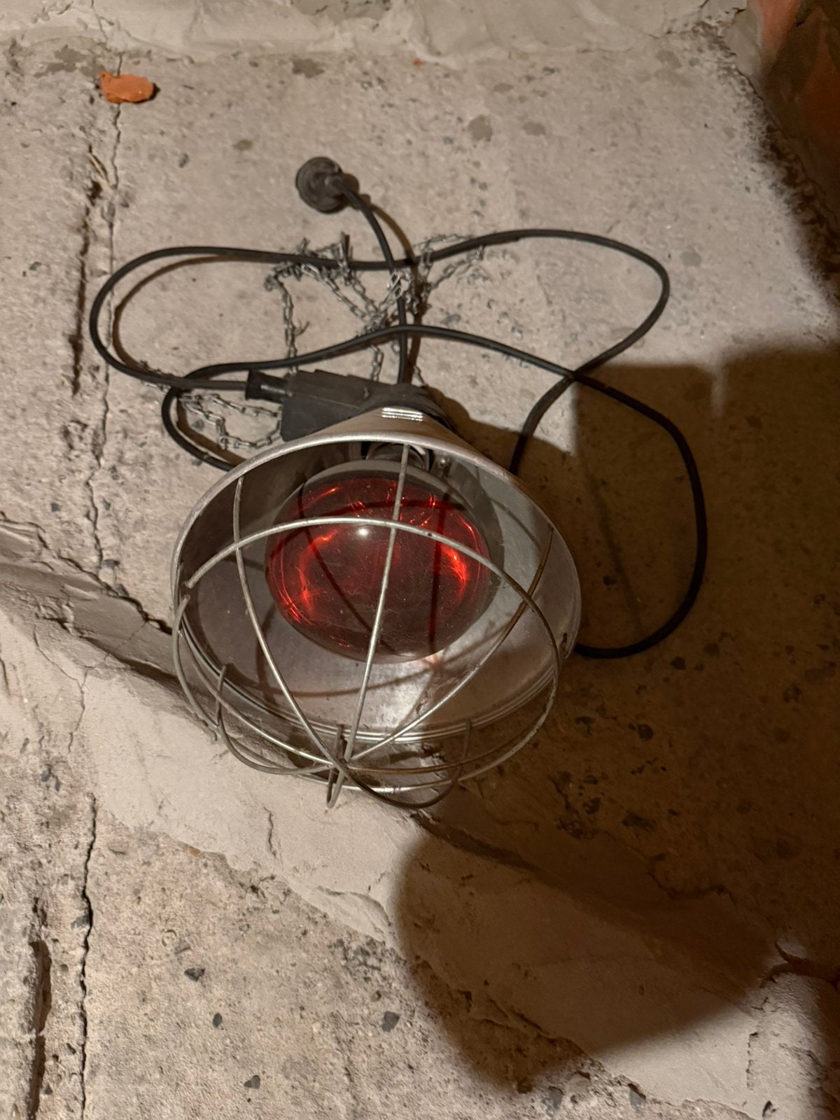 Warmte lamp, Animaux & Accessoires, Enlèvement, Comme neuf