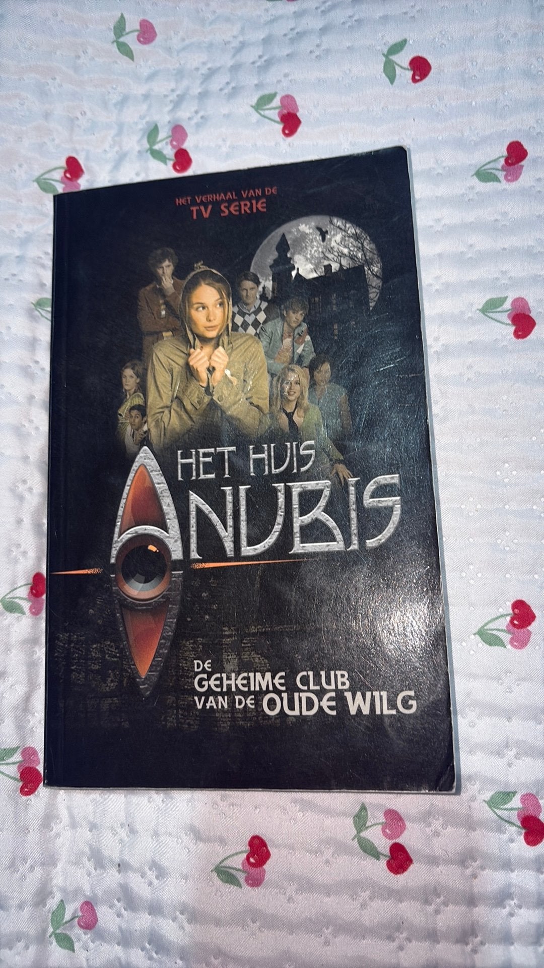 Het huis anubis leesboek, CD & DVD, DVD | Horreur, À partir de 12 ans, Enlèvement ou Envoi, Utilisé, Autres genres