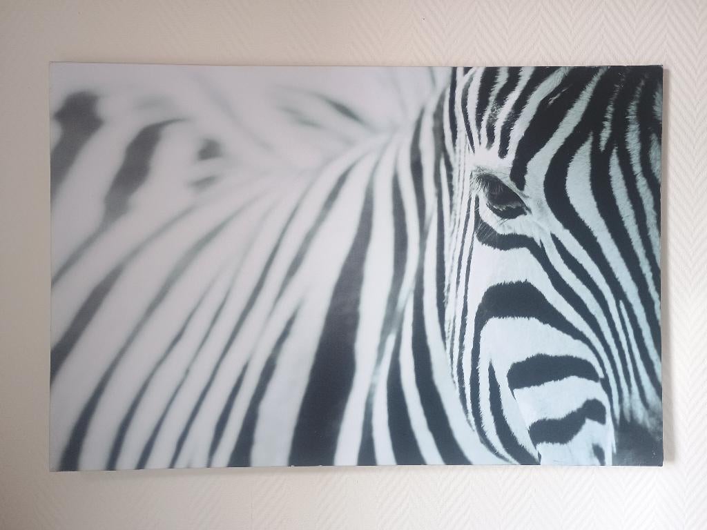 Foto zebra, Antiek en Kunst, Ophalen