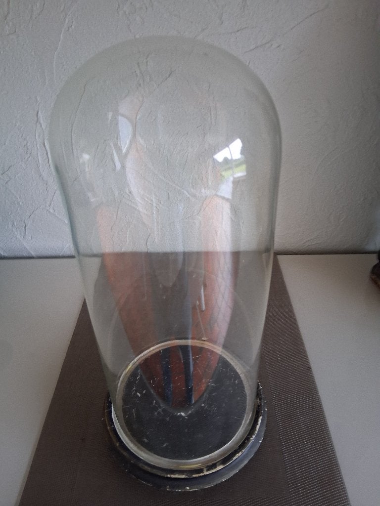 ANCIENNE CLOCHE EN VERRE, Antiquités & Art, Enlèvement