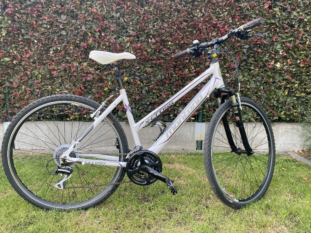 damesfiets, Fietsen en Brommers, Fietsen | Dames | Damesfietsen, Zo goed als nieuw, Overige merken, (Extra) lage instap, Versnellingen
