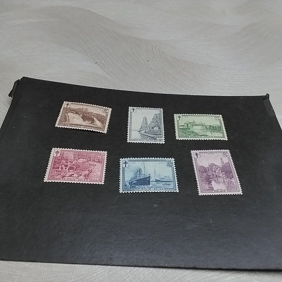 BELGIE 293/2[98 scharnier met cote 50,00 €, Ophalen of Verzenden