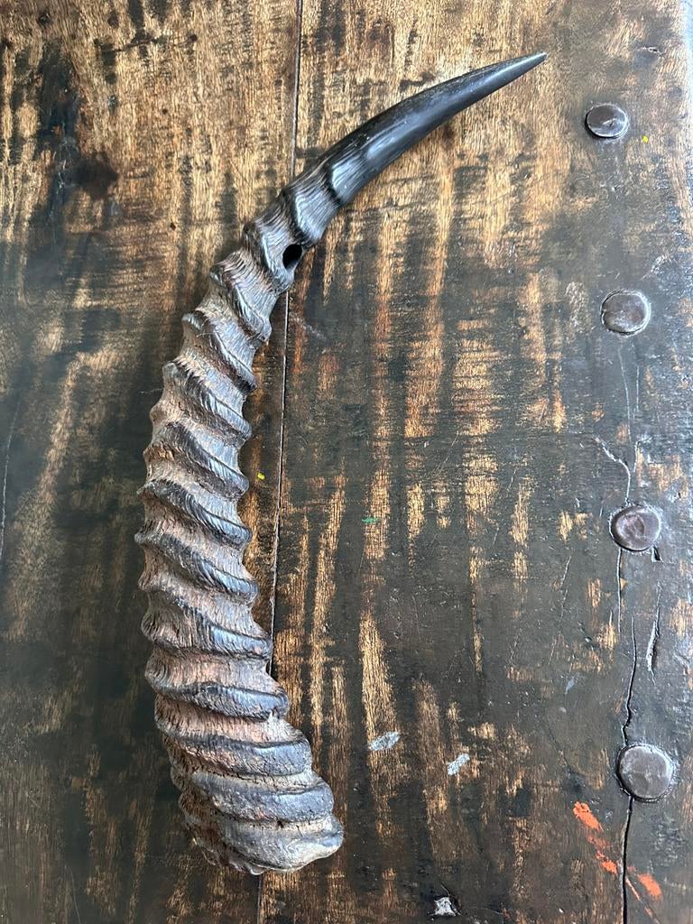 KUMU Horn Bush trompette Ituriwoud avant 1900 !, Envoi