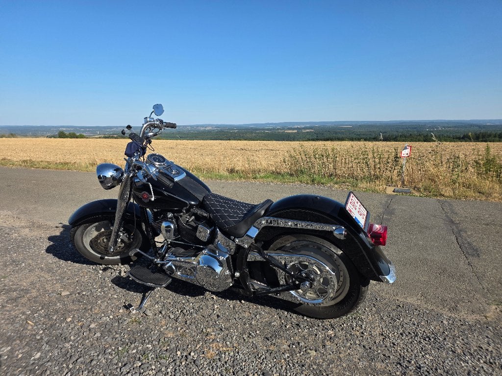 Harley-Davidson, Motoren, Chopper, Particulier, 1450 cc