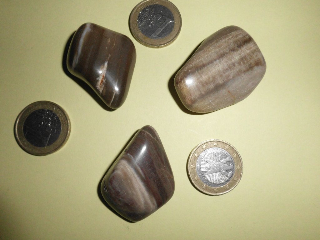 12 trommelstenen "versteend hout"  fossiel v 10 €, Ophalen of Verzenden, Fossiel