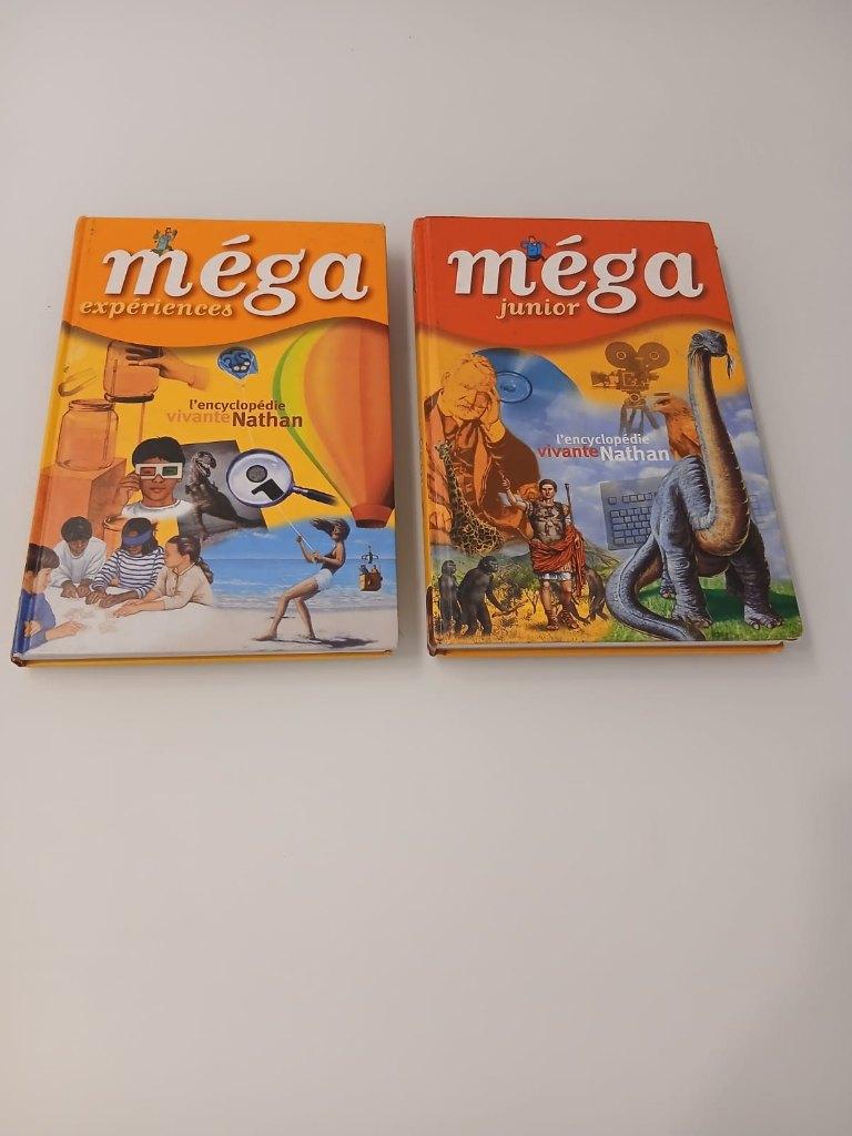 Lot de 2 encyclopédies "Méga" Nathan, Enlèvement ou Envoi, Utilisé, Autres sujets/thèmes, Tome à part