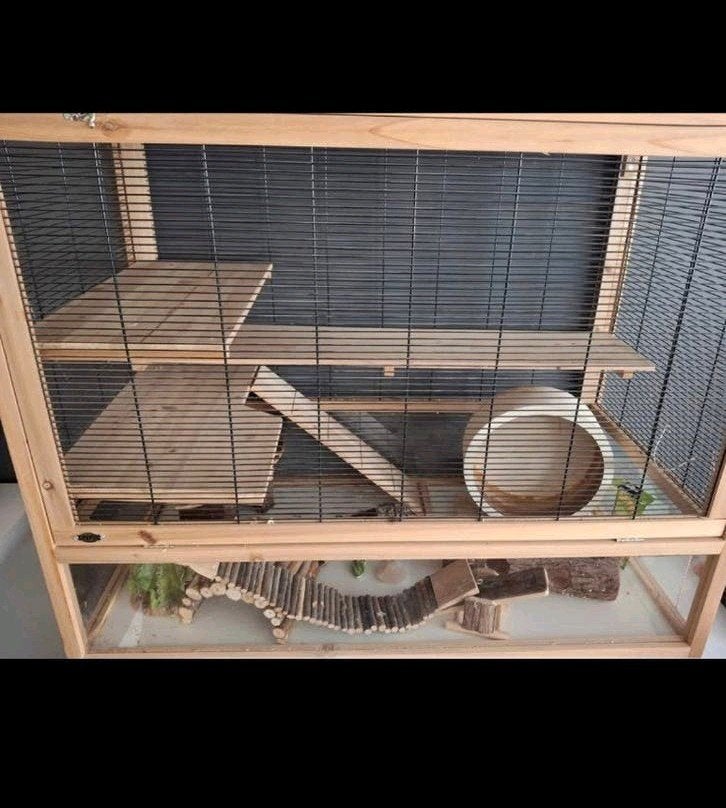 hamster huis, 75 à 110 cm, Cage, Comme neuf, Enlèvement