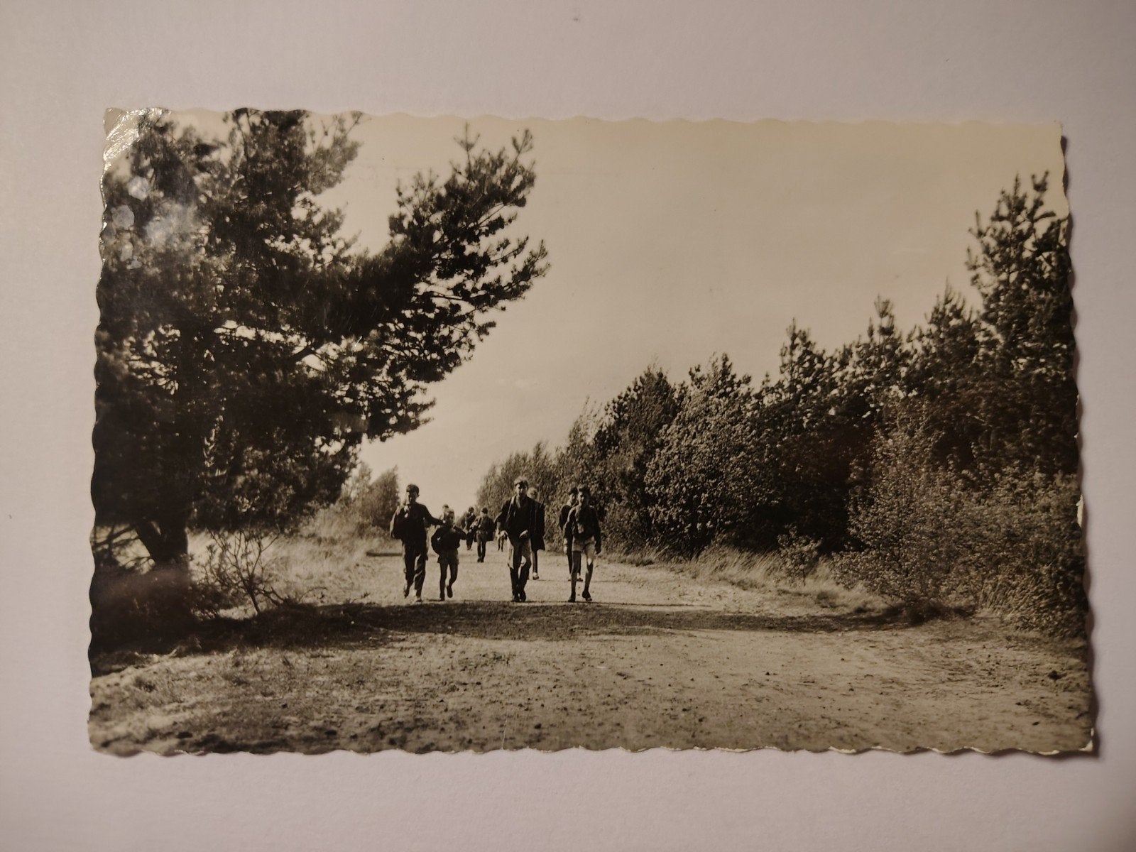 Kalmthout Duinweg, Enlèvement ou Envoi