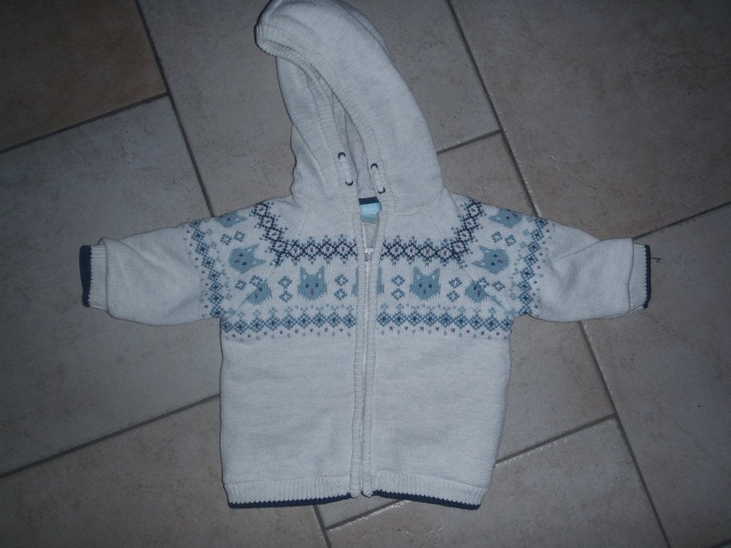 vest maat 68, Kinderen en Baby's, Ophalen of Verzenden, Zo goed als nieuw, Jongetje, Truitje of Vestje