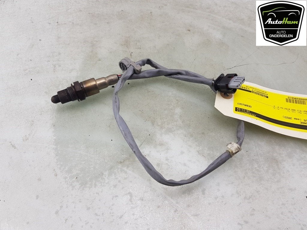 SONDE LAMBDA Ford Focus 4 Wagon (01-2018/12-2025), Utilisé, Ford