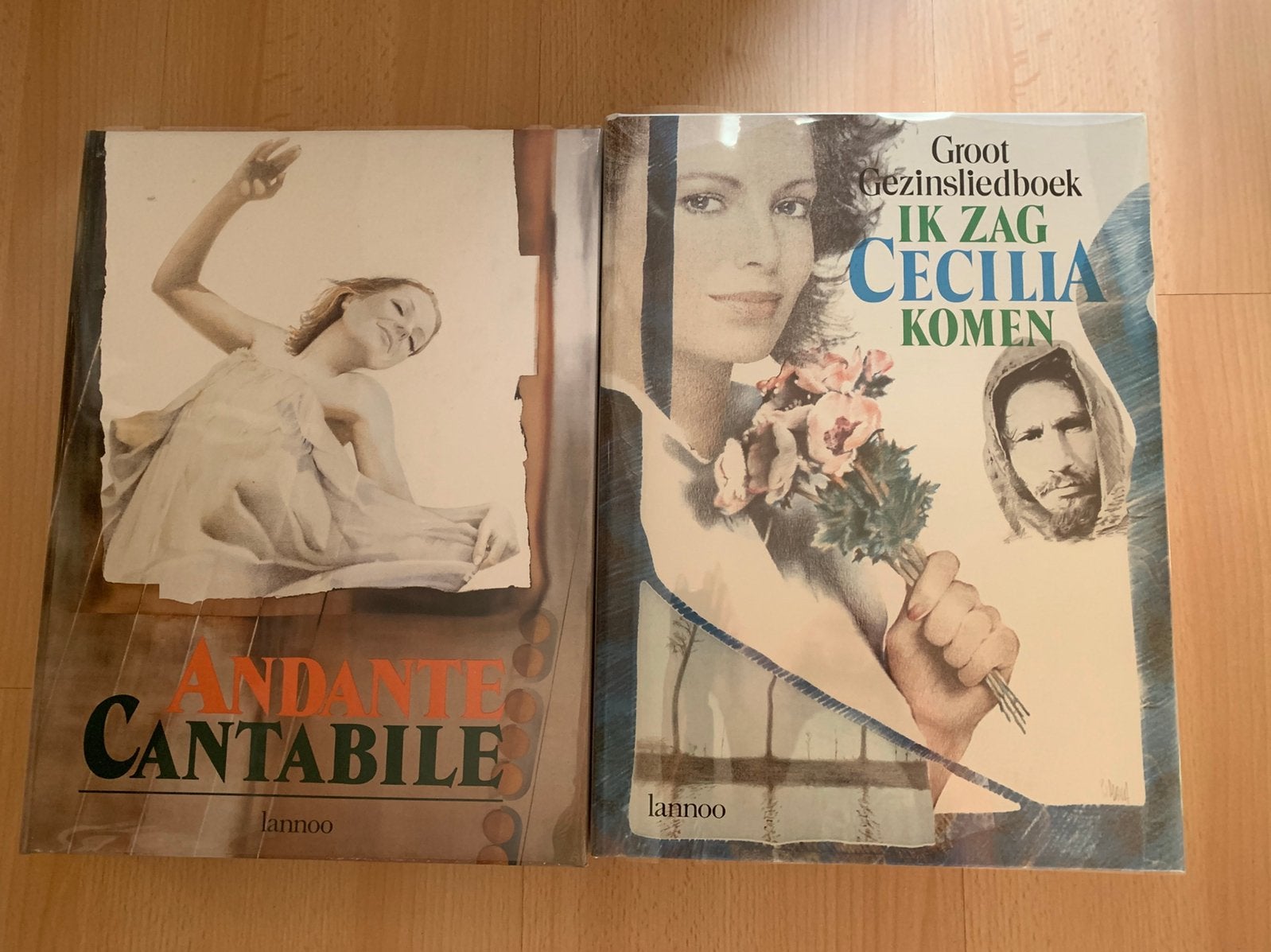 Nouveaux livres de musique/chansons, Livres, Musique, Neuf, Diverse auteurs, Enlèvement, Autres sujets/thèmes