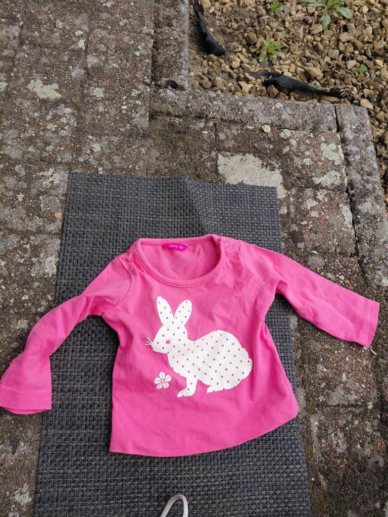 T-shirt meisjes, Enfants & Bébés, Vêtements de bébé | Taille 56, Enlèvement