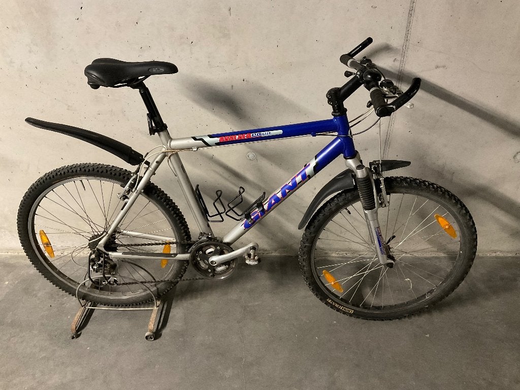 Fiets, Fietsen en Brommers, Ophalen, Gebruikt, Giant