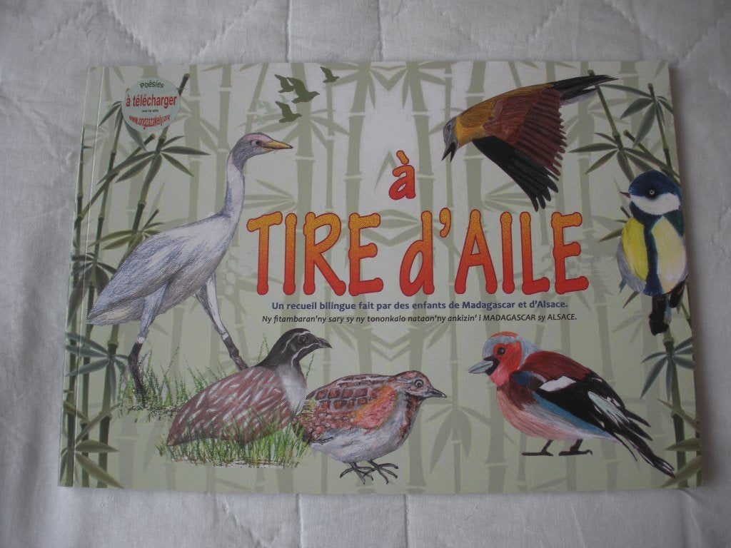 Livre "A tire-d'aile" pour enfant de10 ans., Ophalen, Non-fictie, Maison de Associations, Zo goed als nieuw