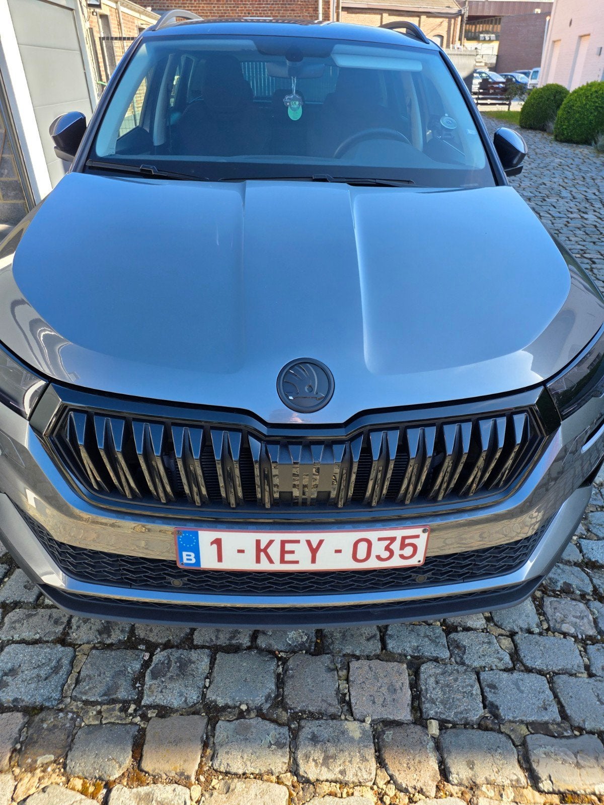 Vw Skoda karoq, Auto's, Skoda, Automaat, Karoq, Elektrisch, Grijs