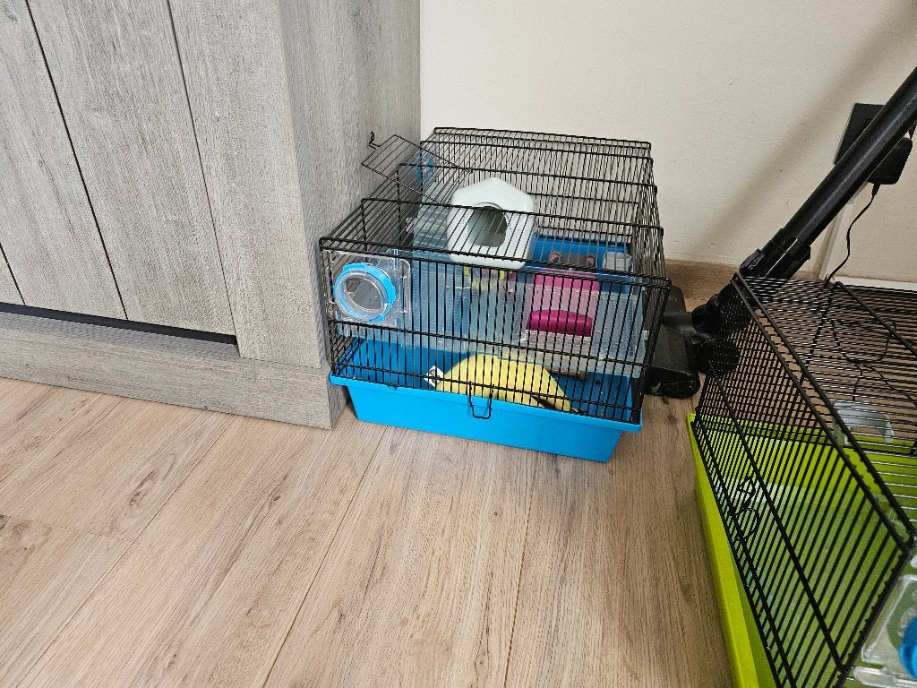 Hamster kotjes, Dieren en Toebehoren, Ophalen, Gebruikt, Hok, Hamster