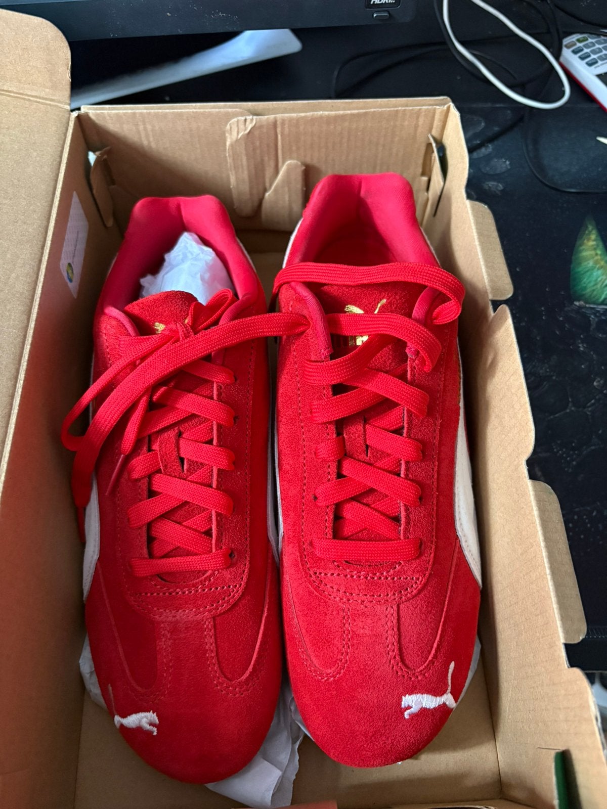 Puma schoenen nieuw, nooit gedragen, Ophalen, Zo goed als nieuw