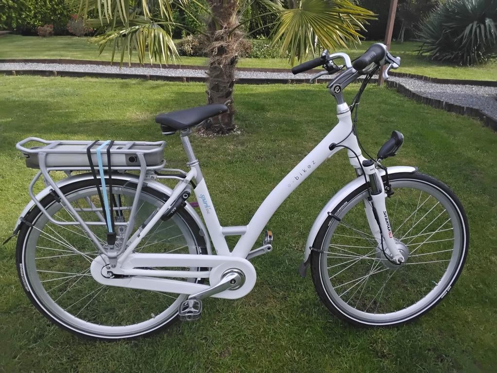 Electrische Damesfiets, Ophalen