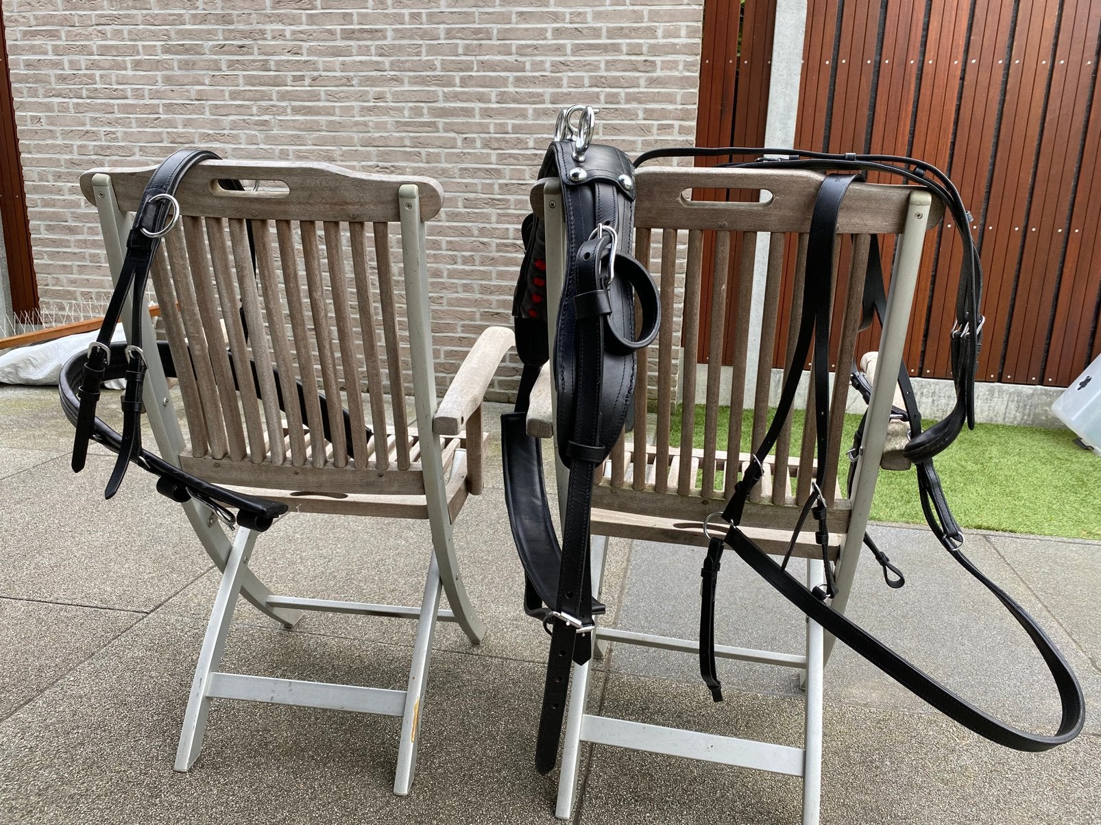 Mentuig shetland, Animaux & Accessoires, Chevaux & Poneys | Brides & Harnachement, Enlèvement ou Envoi, Neuf, Autres espèces